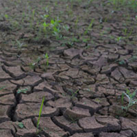 Khác biệt 0,5 độ C ảnh hưởng gì tới tương lai toàn cầu?