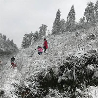 Giữa tháng 12, miền Bắc đón đợt rét đậm, rét hại đầu tiên