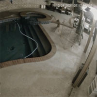 Chó nhà tử chiến sư tử núi để cứu chủ và cái kết bất ngờ