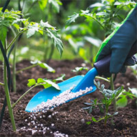 Ấn Độ phát triển công nghệ biến tóc người thành phân bón, thức ăn cho vật nuôi