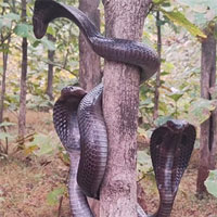 Sửng sốt trước cảnh ba con rắn hổ mang cùng xuất hiện trên thân cây