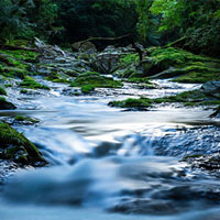 Bí ẩn dòng suối bốc mùi... bia nồng nặc ở Hawaii được giải đáp