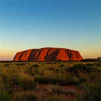 Phát hiện loài hoàn toàn mới trên 