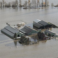 Trận lũ lụt ở Tây Bắc Thái Bình Dương tồi tệ đến mức nào?