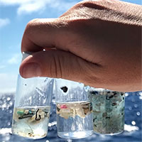 Hạt vi nhựa - Hiểm họa khôn lường đối với đại dương