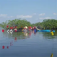Kinh ngạc "thế giới vượt thời gian" của người Maya giấu dưới đầm nước