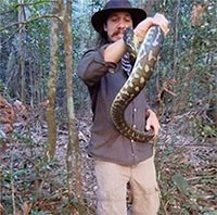 Dùng tay không bắt trăn thảm, người đàn ông bị trăn tấn công phải nhập viện