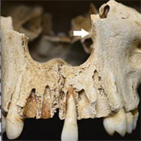 Bí mật rợn người về 