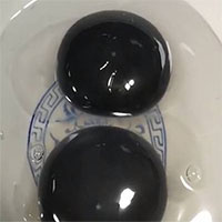 Ngỗng đẻ trứng lòng đen cực hiếm gây xôn xao