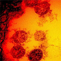 Australia phát triển vaccine mRNA đầu tiên