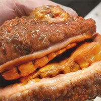 Cá kỳ dị có răng và giống bánh mì kẹp thịt xuất hiện ở Nga