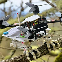 Robot đã có đôi chân kỳ diệu của loài chim, có thể đậu trên cành cây, quắp đồ như 