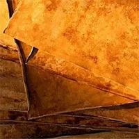 Phát triển loại da nhân tạo từ nấm giống hệt da thật