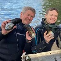 Phát hiện quần thể trai lên tới 100 tuổi trên sông Mỹ