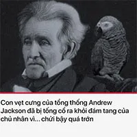 Top 13 sự thật "ảo" nhất lịch sử, nghe còn điêu hơn cả kịch bản phim Hollywood