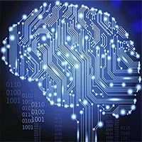 Elon Musk sẽ cấy chip vào não người năm sau