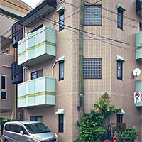 Kinh ngạc cây xương rồng cao bằng tòa nhà 3 tầng, động đất lũ lụt vẫn đứng vững