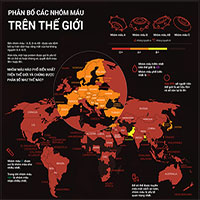 Tỷ lệ phân bố nhóm máu tại các châu lục trên thế giới