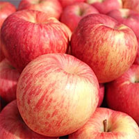 Phụ nữ mỗi sáng đều ăn 1 quả táo khi bụng đói, 7 ngày sau cơ thể sẽ cảm nhận được thay đổi rõ rệt