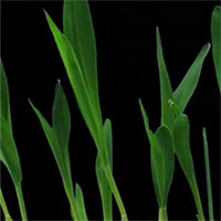 Giải mã câu hỏi hóc búa về 