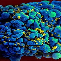 Vaccine mARN ngăn HIV cho kết quả tốt ở động vật