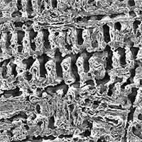 Thử nghiệm mới cho thấy, đồng xốp tiêu diệt vi khuẩn nhanh gấp 120 lần