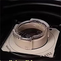 Tế bào não trong phòng thí nghiệm học chơi game nhanh hơn AI