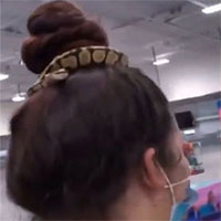 Hãi hùng người phụ nữ lấy rắn làm dây buộc tóc