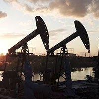 Các nhà khoa học phát hiện loại vi khuẩn phân hủy dầu thô