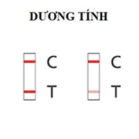 Cách sử dụng và đọc kết quả trên kit test Covid-19