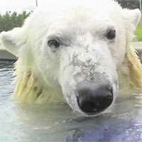 Người đàn ông duy nhất trên thế giới đủ 