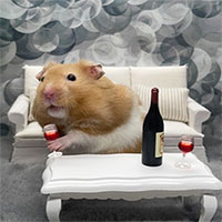 Con vật này chính là 