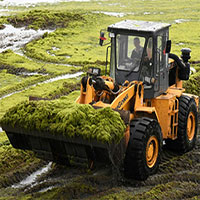 Tảo có thể tồn tại trong môi trường giống sao Hỏa