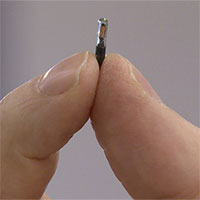 Phát triển chip điện tử cấy dưới da lưu thông tin tiêm chủng Covid-19