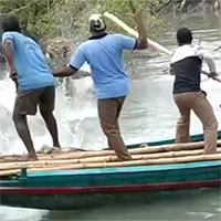 Hổ dữ lao ra tấn công người dân và diễn biến gay cấn phía sau