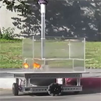 Các nhà khoa học huấn luyện cá vàng 