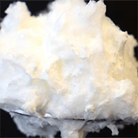 Loại protein từ nấm có thể thay thế lòng trắng trứng