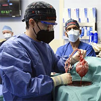Mỹ thực hiện ca cấy ghép tim lợn cho người đầu tiên