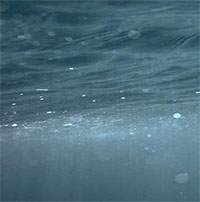 Phát hiện loạt sinh vật sống khỏe mà không cần oxy, ánh sáng