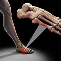 Tại sao người châu Á chỉ có 204 chiếc xương trong khi người Châu Âu và Châu Mỹ có đến 206 chiếc?