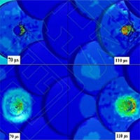 Trung Quốc chế tạo áo chống đạn lấy cảm hứng từ vảy cá