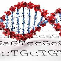 Kỹ thuật giúp chẩn đoán bệnh di truyền trong vài giờ