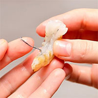 Vì sao cần gỡ bỏ sợi chỉ đen trên lưng tôm?