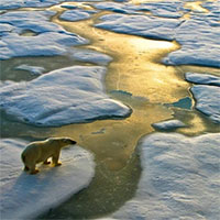 Nhiệt độ Trái đất có thể tăng tới 4°C vào cuối thế kỷ này