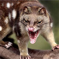 Kinh ngạc loài vật ân ái suốt 14 giờ, 