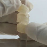 Phát triển thành công loại vật liệu tổng hợp từ gỗ siêu bền dẻo