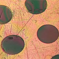 Nhóm nghiên cứu ở MIT tạo ra vật liệu nhẹ hơn nhựa và cứng hơn thép