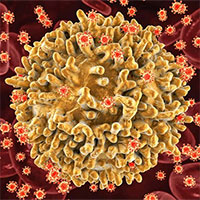 Phát hiện biến thể mới 