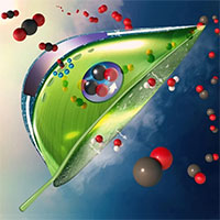 Lá nhân tạo hút khí CO2 của Mỹ: Tiêu thụ điện tương đương bóng đèn LED nhưng hiệu quả cực cao