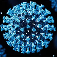 Các chuyên gia Trung Quốc tìm thấy chủng virus Corona mới